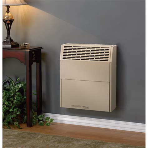 natural gas direct vent heater